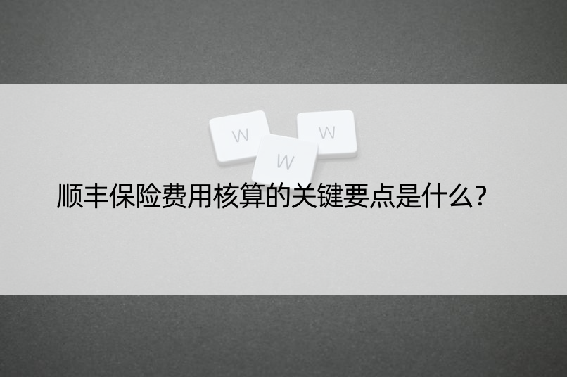 顺丰保险费用核算的关键要点是什么？