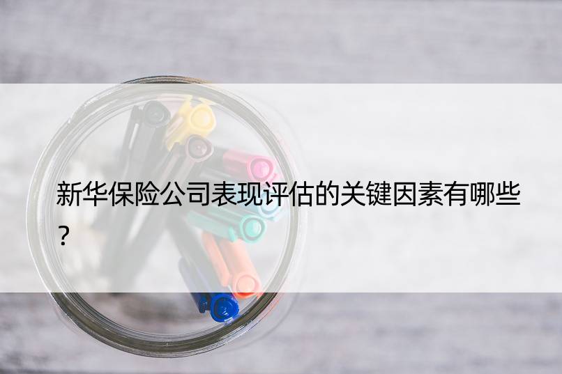 新华保险公司表现评估的关键因素有哪些？