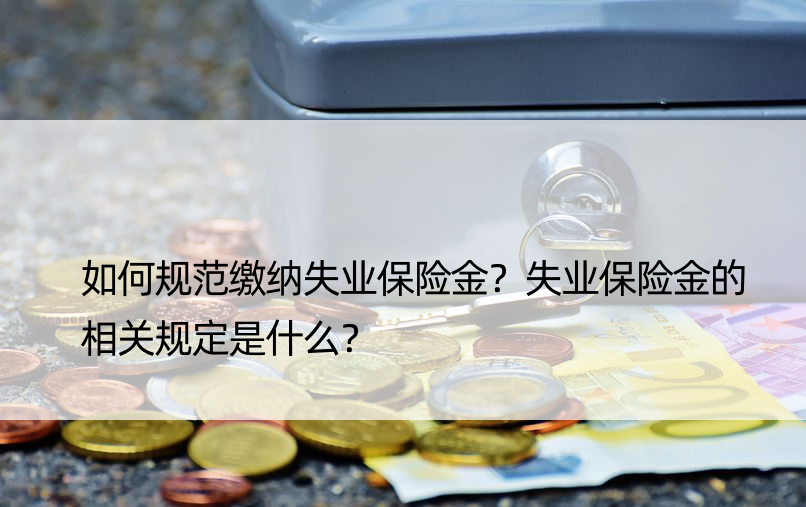 如何规范缴纳失业保险金？失业保险金的相关规定是什么？