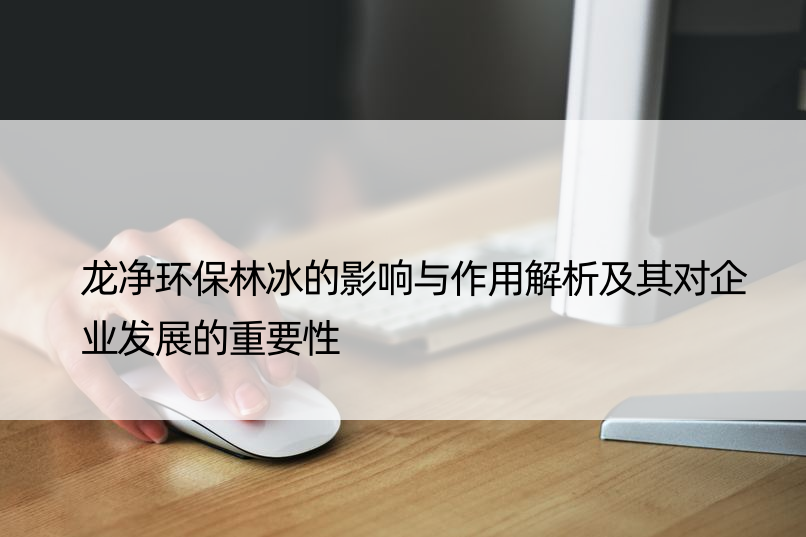 龙净环保林冰的影响与作用解析及其对企业发展的重要性