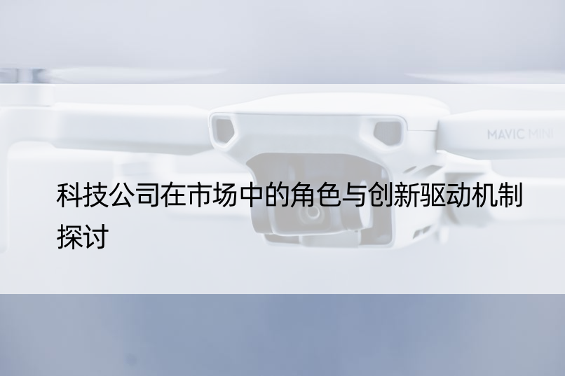 科技公司在市场中的角色与创新驱动机制探讨