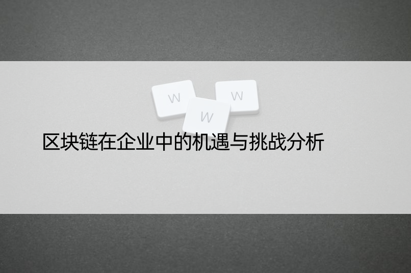 区块链在企业中的机遇与挑战分析