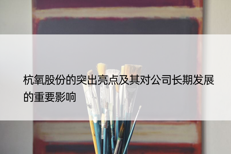 杭氧股份的突出亮点及其对公司长期发展的重要影响