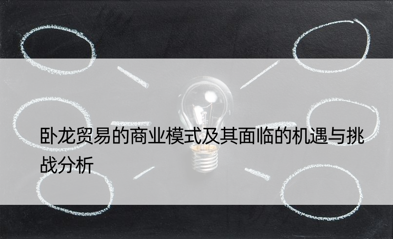 卧龙贸易的商业模式及其面临的机遇与挑战分析