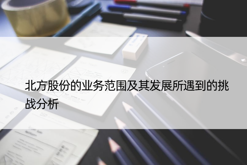 北方股份的业务范围及其发展所遇到的挑战分析