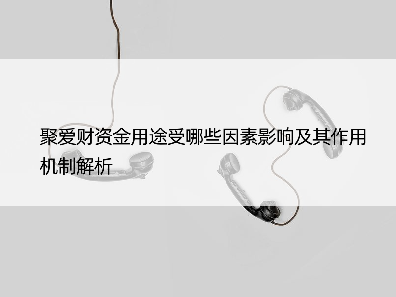 聚爱财资金用途受哪些因素影响及其作用机制解析