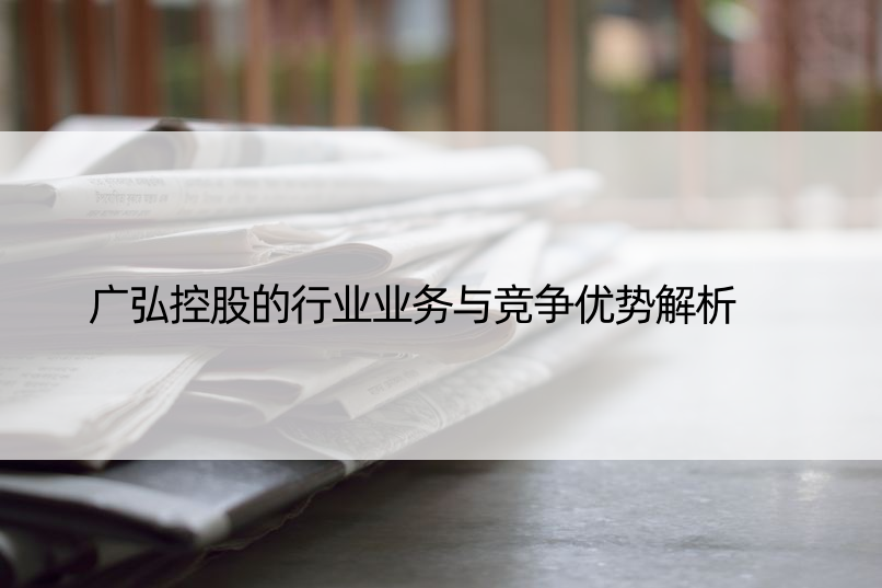 广弘控股的行业业务与竞争优势解析