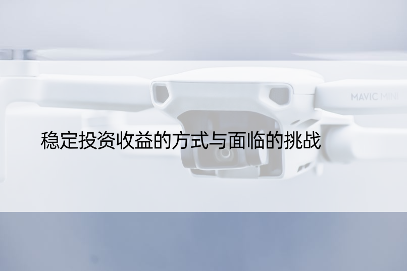 稳定投资收益的方式与面临的挑战