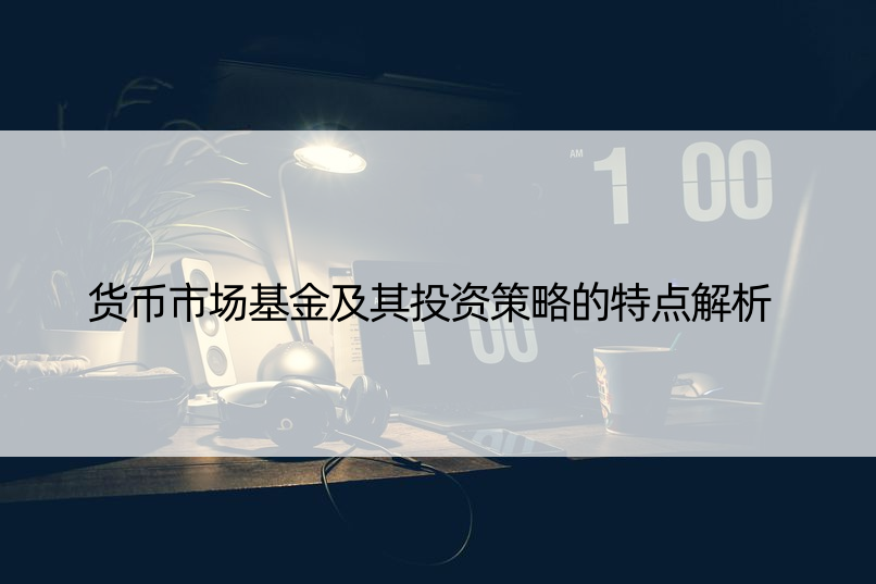 货币市场基金及其投资策略的特点解析