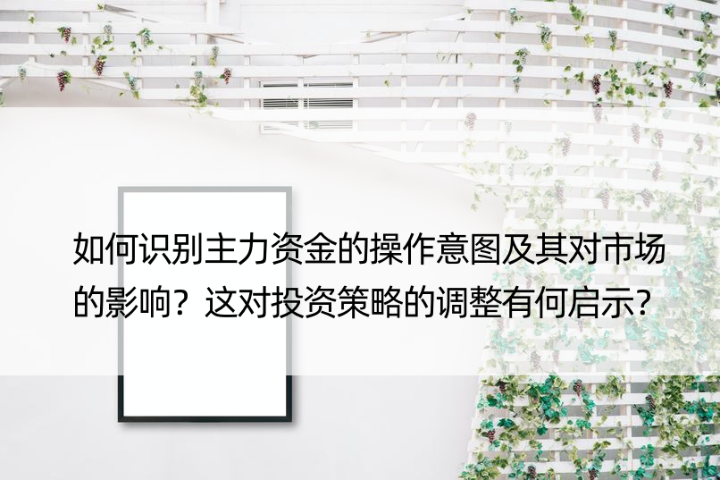 如何识别主力资金的操作意图及其对市场的影响？这对投资策略的调整有何启示？