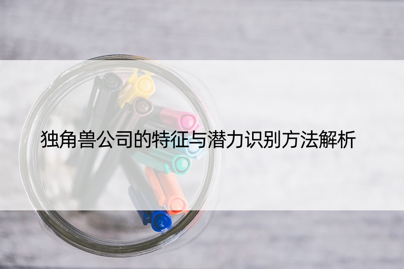 独角兽公司的特征与潜力识别方法解析