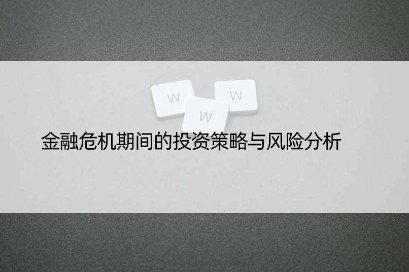 金融危机期间的投资策略与风险分析