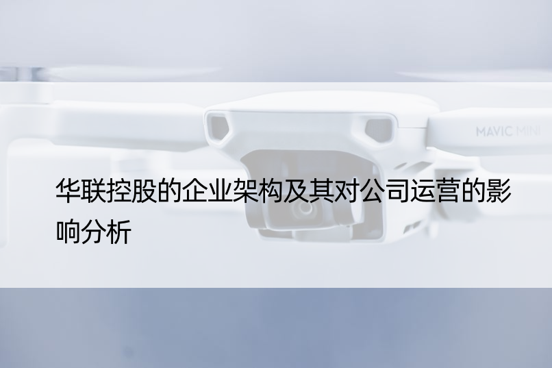 华联控股的企业架构及其对公司运营的影响分析