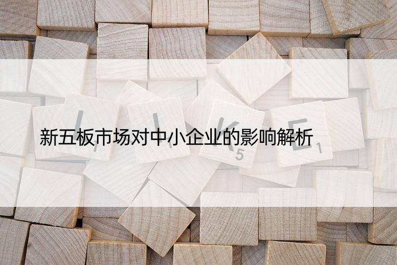 新五板市场对中小企业的影响解析