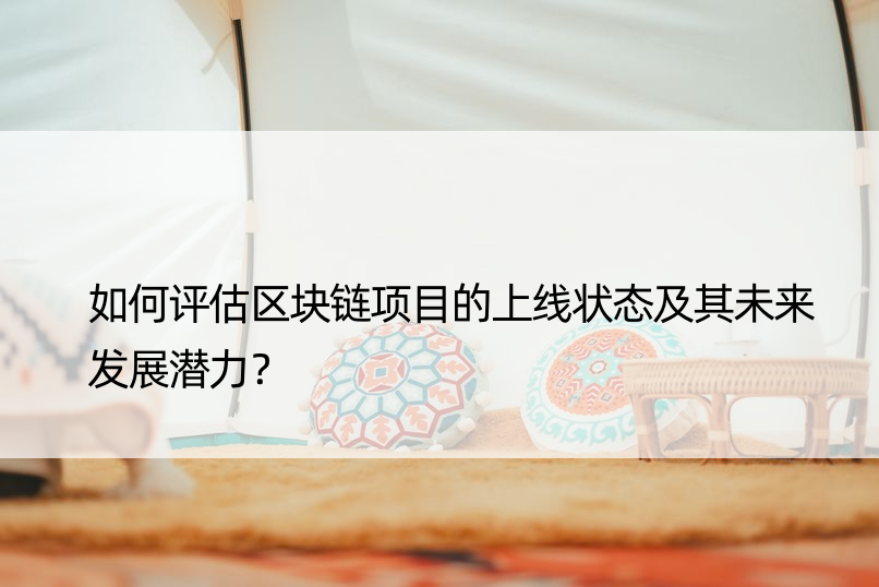 如何评估区块链项目的上线状态及其未来发展潜力？