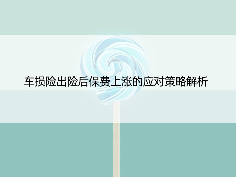 车损险出险后保费上涨的应对策略解析