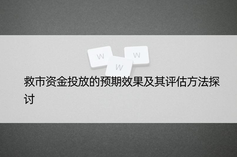 救市资金投放的预期效果及其评估方法探讨