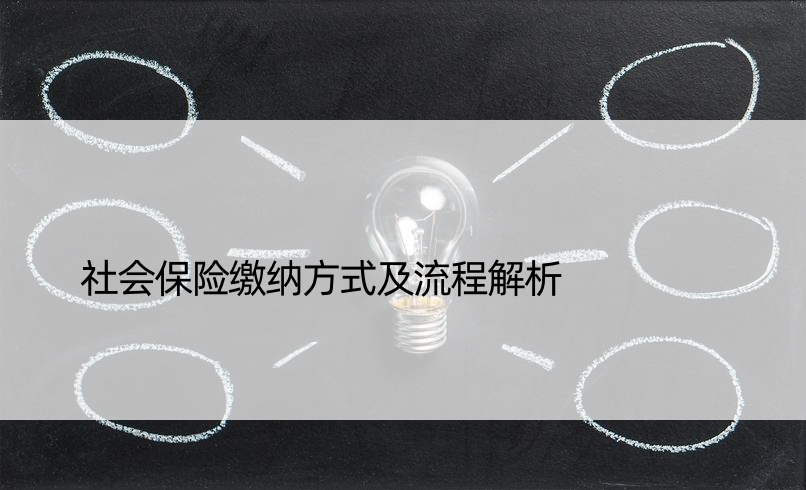 社会保险缴纳方式及流程解析