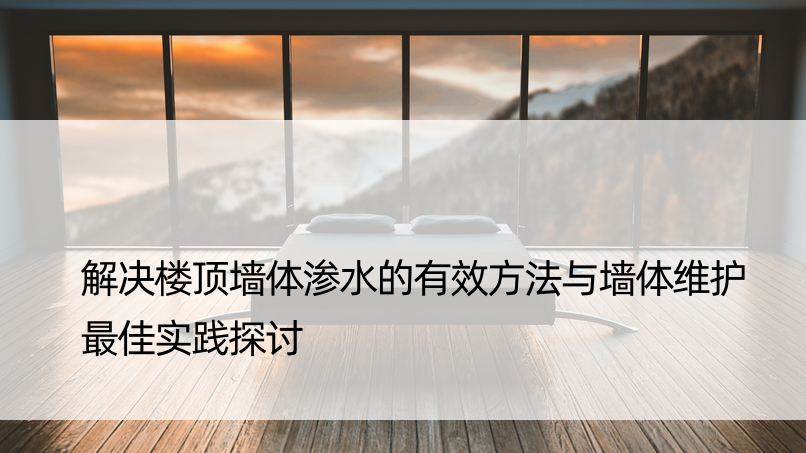 解决楼顶墙体渗水的有效方法与墙体维护更佳实践探讨