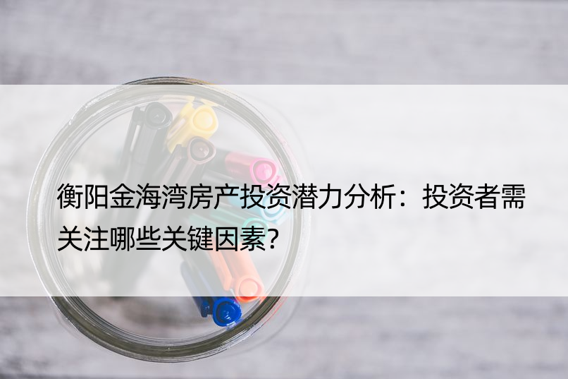 衡阳金海湾房产投资潜力分析：投资者需关注哪些关键因素？