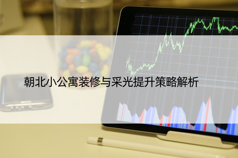 朝北小公寓装修与采光提升策略解析