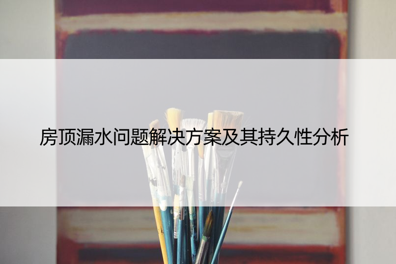 房顶漏水问题解决方案及其持久性分析