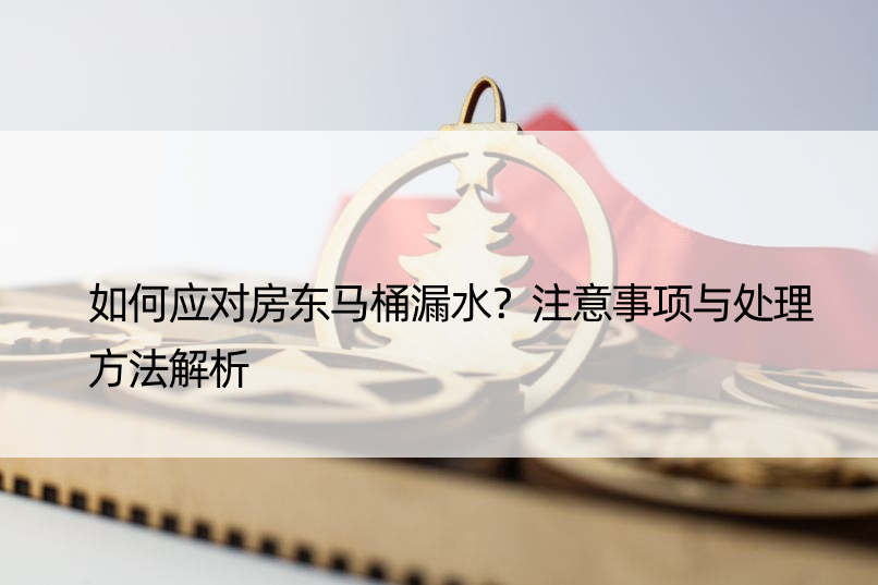 如何应对房东马桶漏水？注意事项与处理方法解析