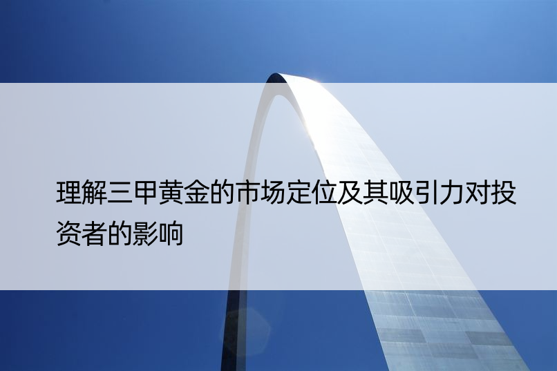 理解三甲黄金的市场定位及其吸引力对投资者的影响