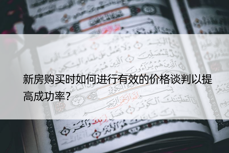 新房购买时如何进行有效的价格谈判以提高成功率？