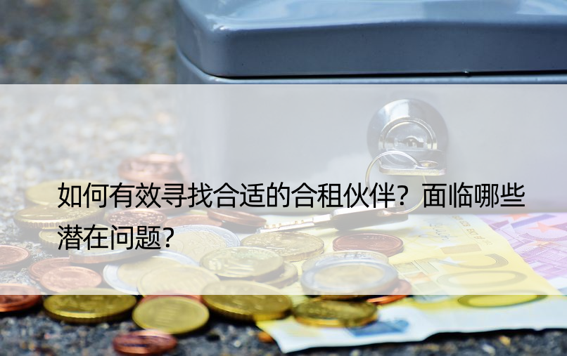 如何有效寻找合适的合租伙伴？面临哪些潜在问题？