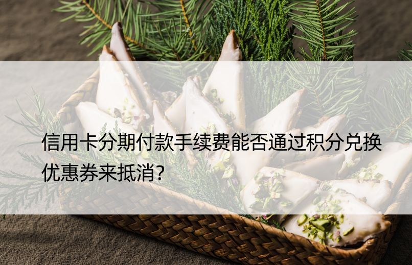 信用卡分期付款手续费能否通过积分兑换优惠券来抵消？