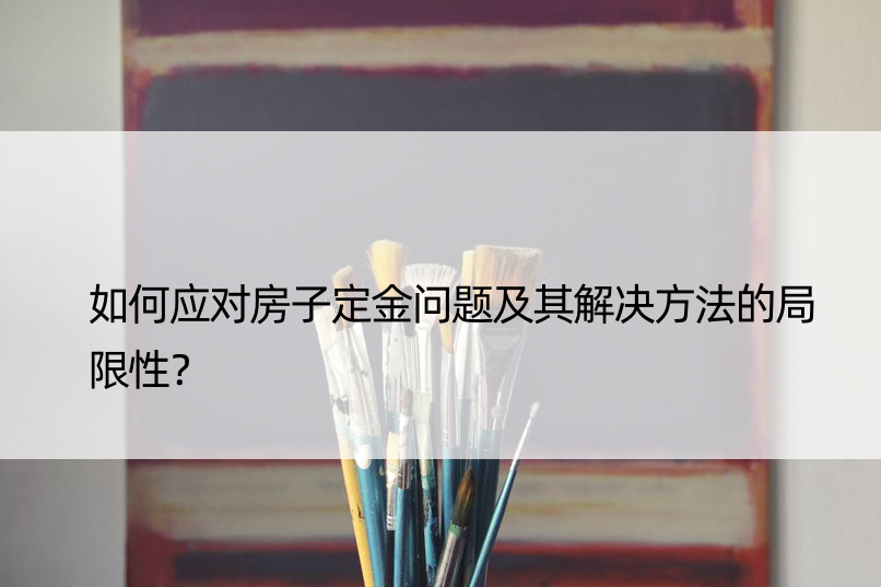 如何应对房子定金问题及其解决方法的局限性？