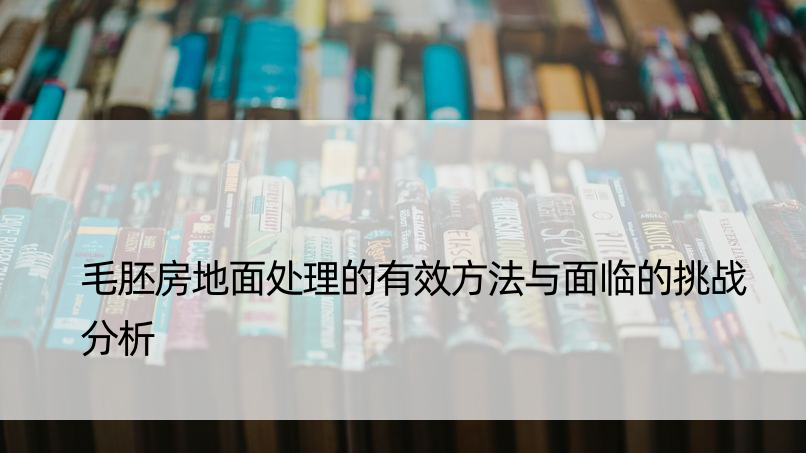 毛胚房地面处理的有效方法与面临的挑战分析