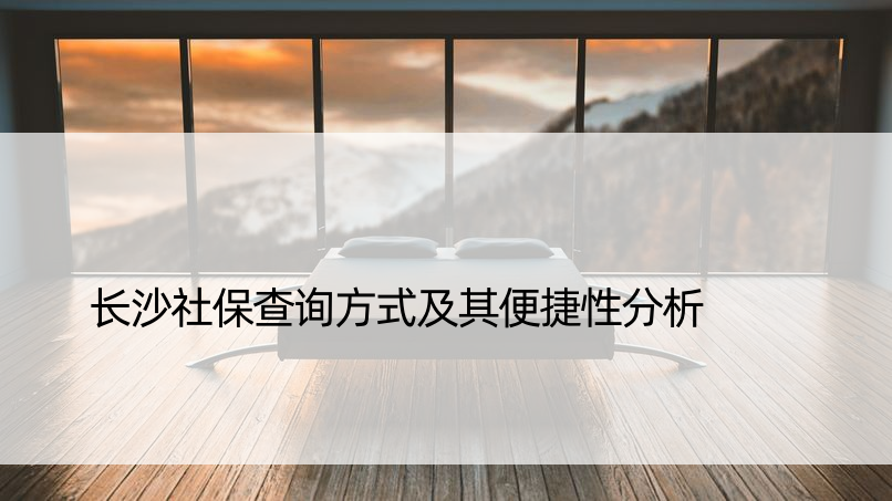 长沙社保查询方式及其便捷性分析