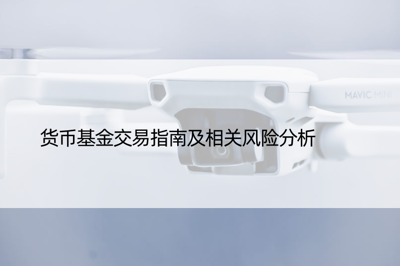 货币基金交易指南及相关风险分析