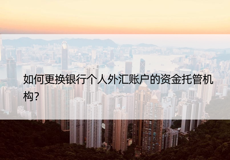 如何更换银行个人外汇账户的资金托管机构？