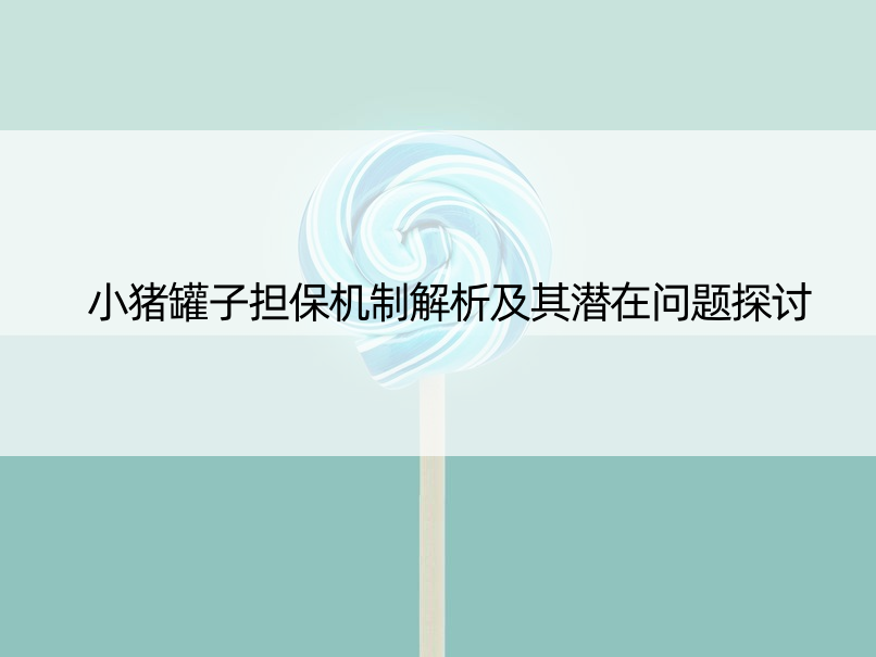 小猪罐子担保机制解析及其潜在问题探讨