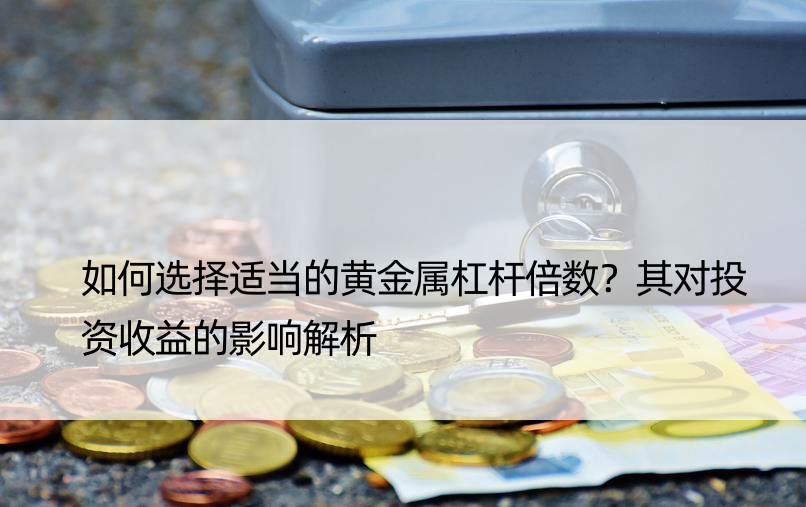 如何选择适当的黄金属杠杆倍数？其对投资收益的影响解析