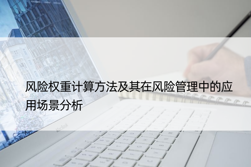 风险权重计算方法及其在风险管理中的应用场景分析