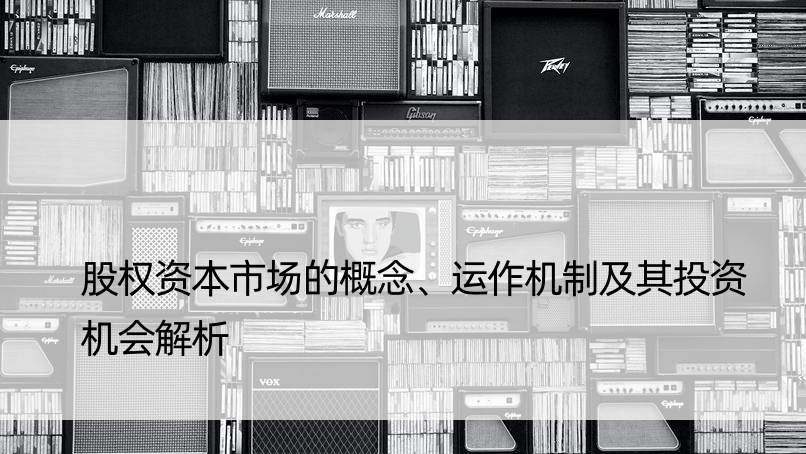 股权资本市场的概念、运作机制及其投资机会解析