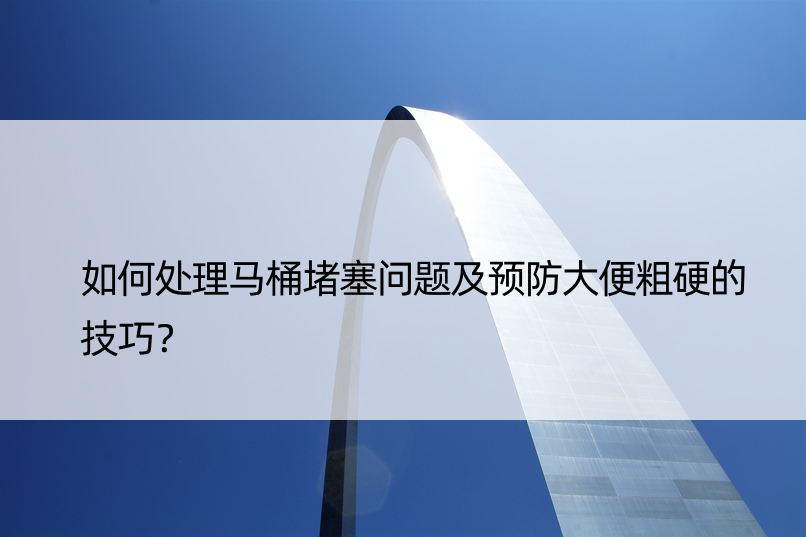 如何处理马桶堵塞问题及预防大便粗硬的技巧？