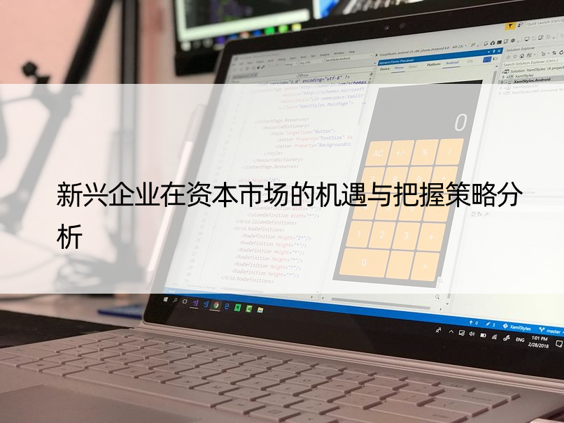 新兴企业在资本市场的机遇与把握策略分析