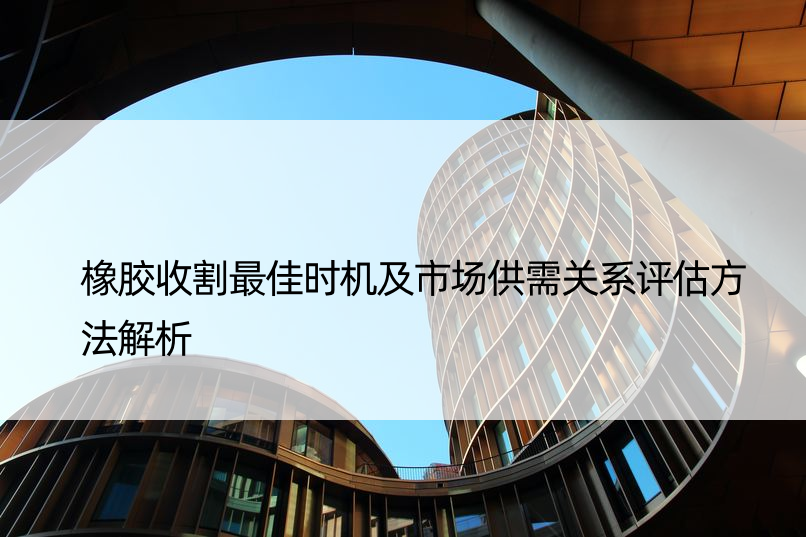 橡胶收割更佳时机及市场供需关系评估方法解析