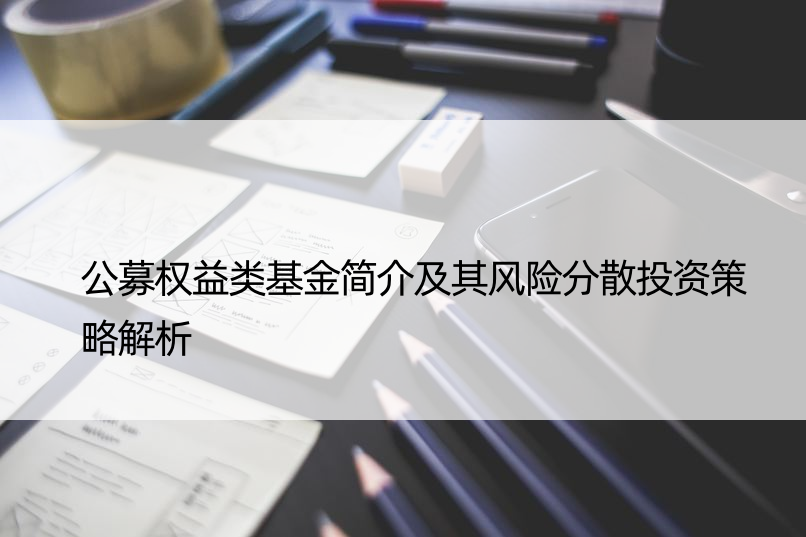 公募权益类基金简介及其风险分散投资策略解析