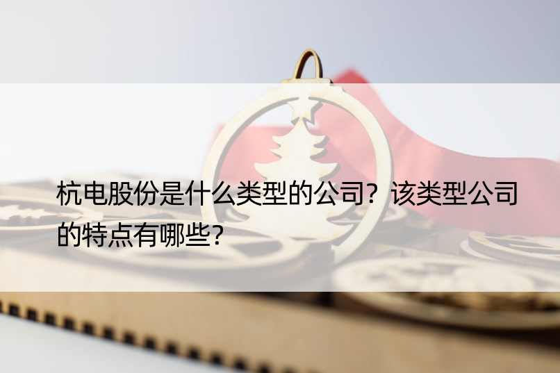 杭电股份是什么类型的公司？该类型公司的特点有哪些？