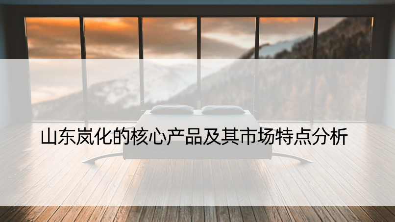 山东岚化的核心产品及其市场特点分析