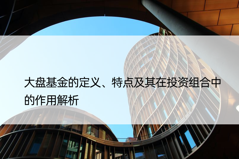 大盘基金的定义、特点及其在投资组合中的作用解析