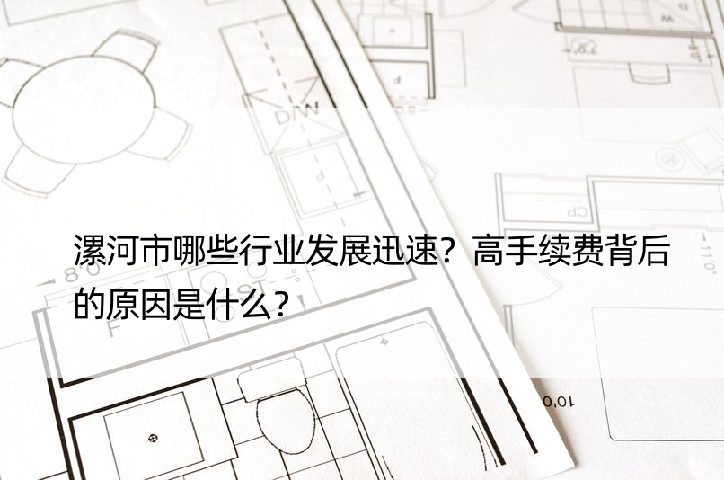 漯河市哪些行业发展迅速？高手续费背后的原因是什么？