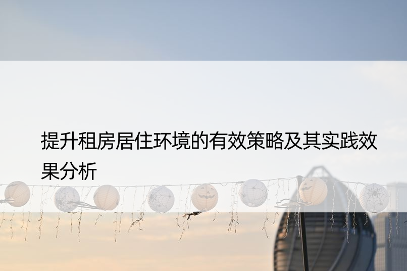 提升租房居住环境的有效策略及其实践效果分析