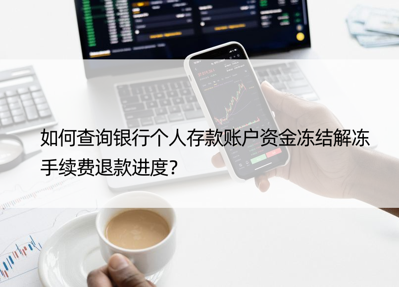 如何查询银行个人存款账户资金冻结解冻手续费退款进度？